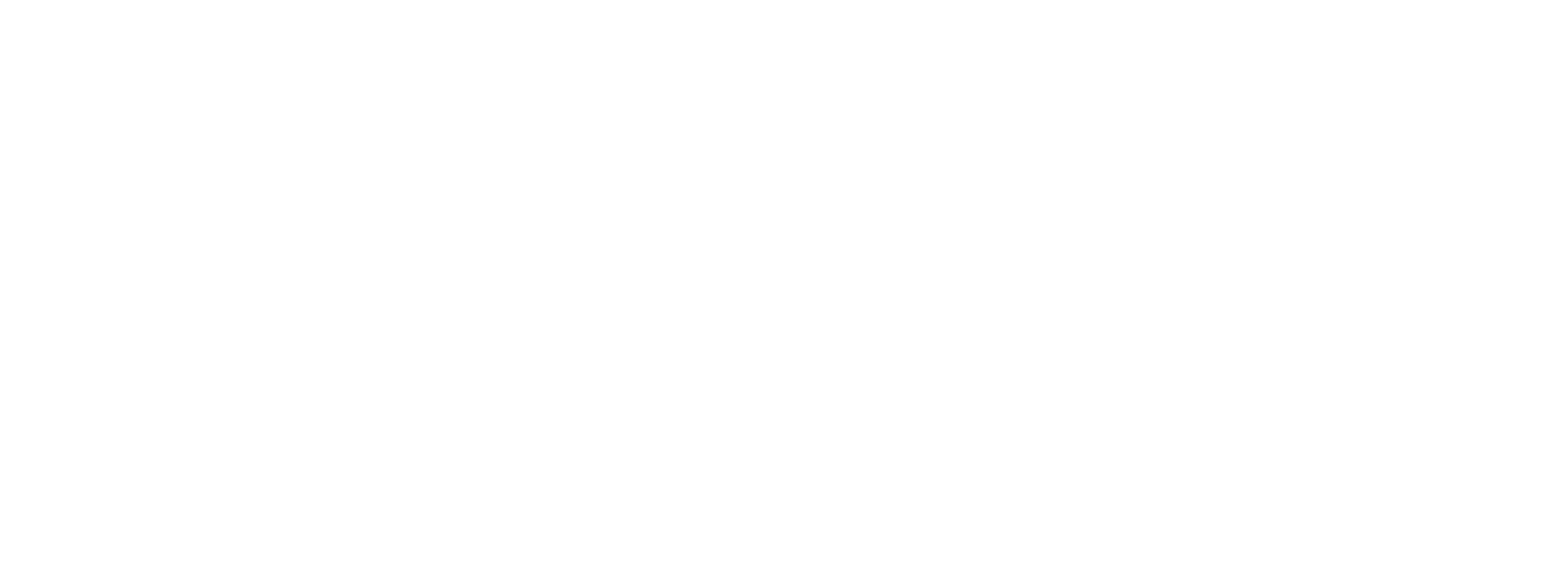 frontier Logo
